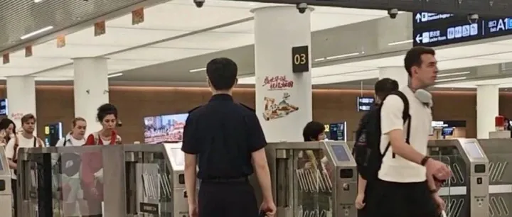 空中忙着飞，地上跑得欢！