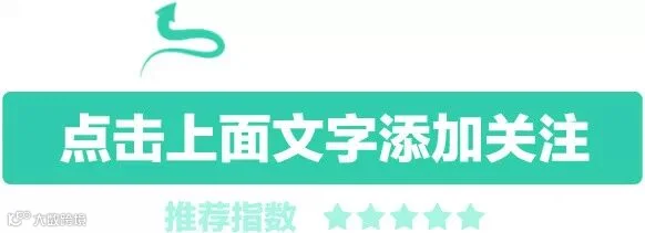 绿色箭头引导关注
