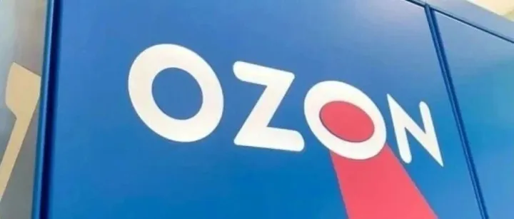 省物流费还是担风险？Ozon自配送realFBS大件卖家怎么选