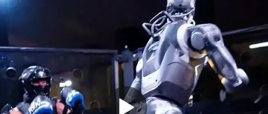 加州叫停人机格斗表演赛，监管遭遇法律空白