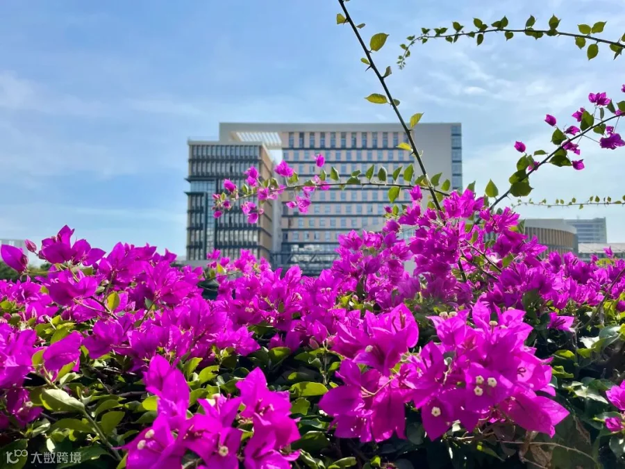 花1.jpg