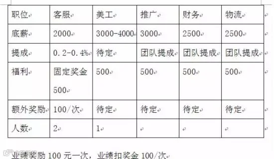 干货:史上最全最细天猫店运营计划书