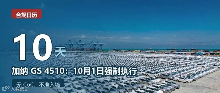 距加纳新规生效10天