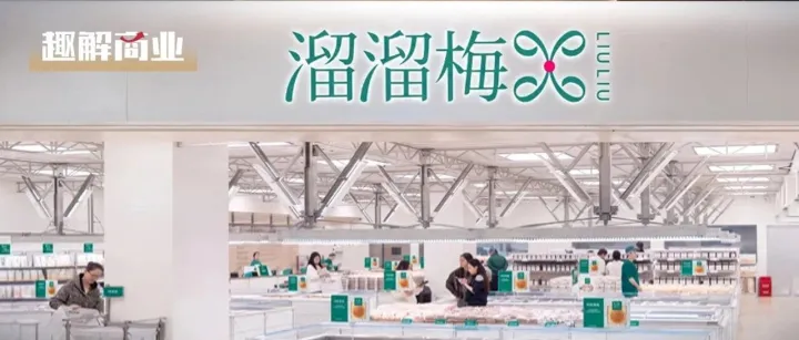 溜溜梅也坐不住了