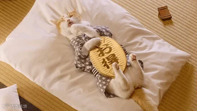 515a7464ly1g0rzzvzmr6g20b4069e0j.gif