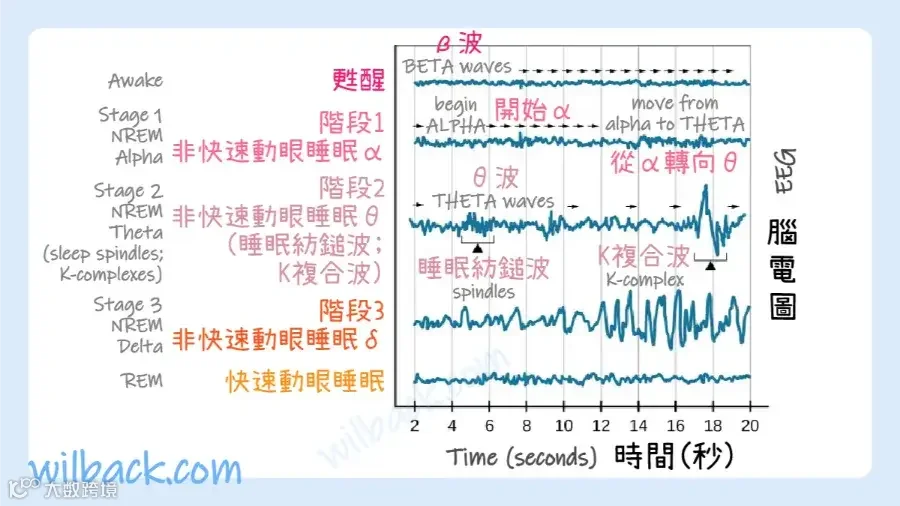 图片5 (1).png