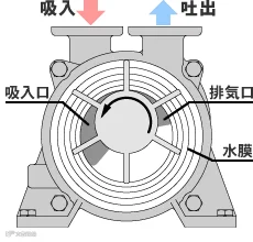 泵结构及原理图