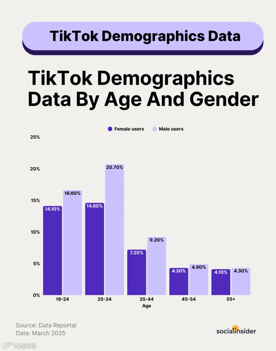TikTok用户统计数据