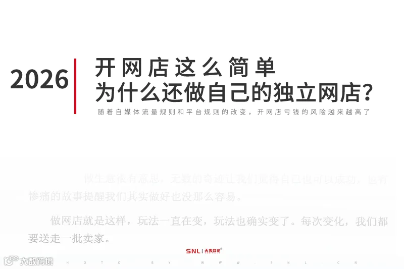 外贸网站建设 开网店