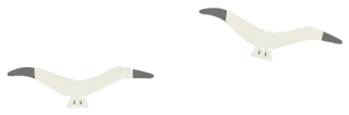 70A7D336-A77F-4172-8DFD-ABF77FACA58E.gif