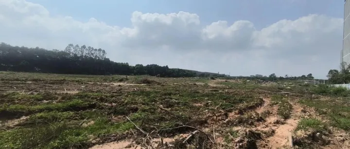 深圳坪山供地2.5万㎡招引新能源厂商