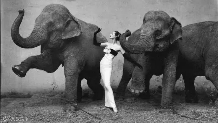 Dovima with elephants by Richard Avedon