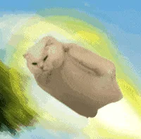 QQ图片20230620164436.gif