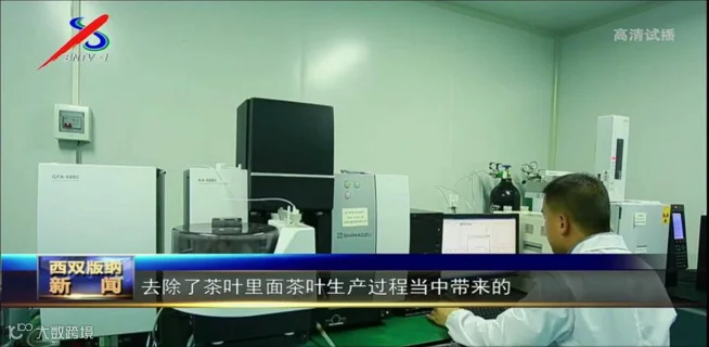 图片13.png