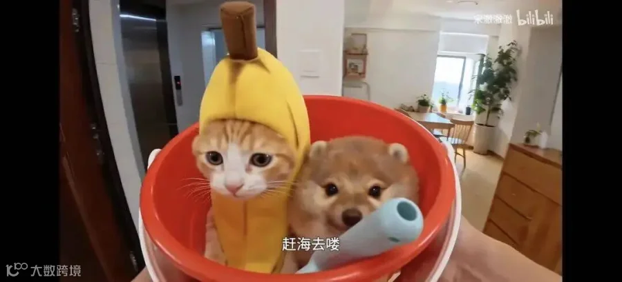 刀盾经典形象：柴犬头配仓鼠身