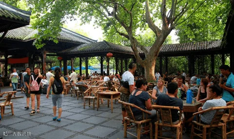 中国最爱喝茶的三座城市，待人接客全部用茶招呼，中间有你家乡吗