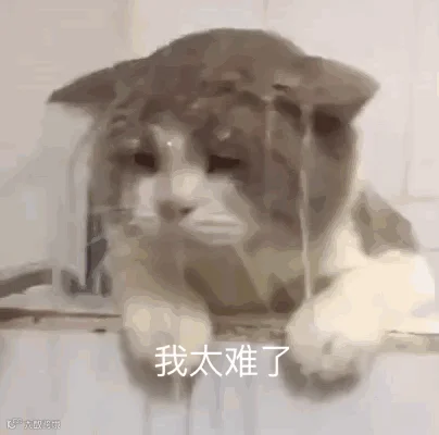 20190803192019_kgmme.gif