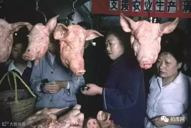 这些刻着年轮的老照片,张张都有你我曾经的回忆……