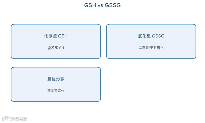 图：还原型 GSH 与氧化型 GSSG 的形态差异与采购关注点（ChemSP 整理）