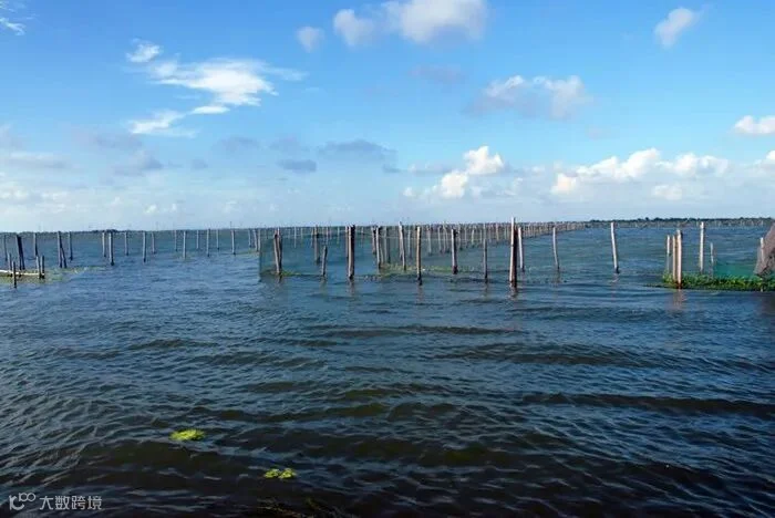 苏州阳澄湖旅游攻略 阳澄湖莲花岛一日游_阳澄湖农家乐_阳澄湖旅游_阳澄湖莲花岛_吃蟹_攻略_大闸蟹