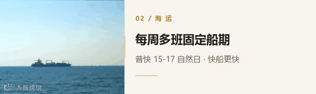 动图_02_船期.gif