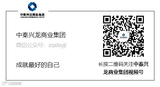中秦兴龙商业集团