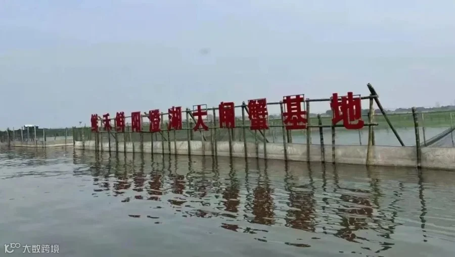 提前锁“鲜”——鲜禾鲜|阳澄湖|大闸蟹|阳澄湖大闸蟹_新浪新闻