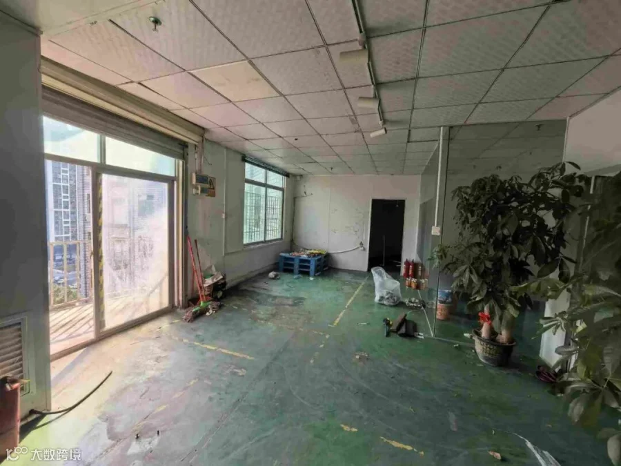 车间采光面实拍，落地窗通透