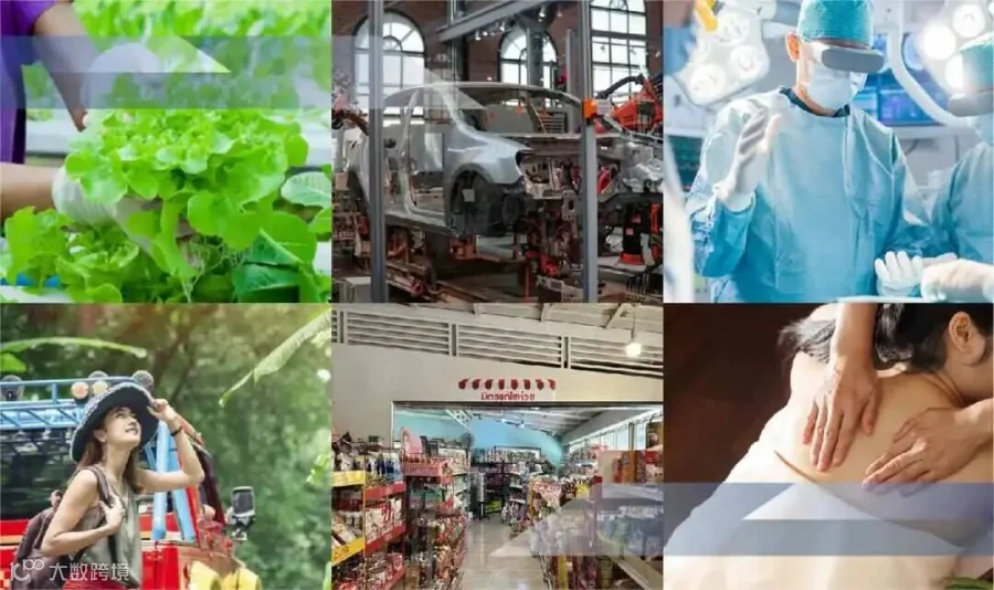 农业与食品加工：泰国优势产业之一