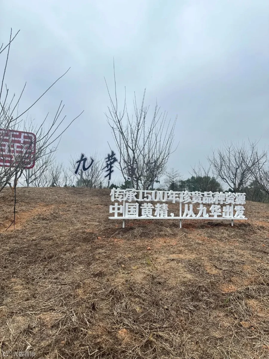 微信图片_20261023084821_126_9.jpg