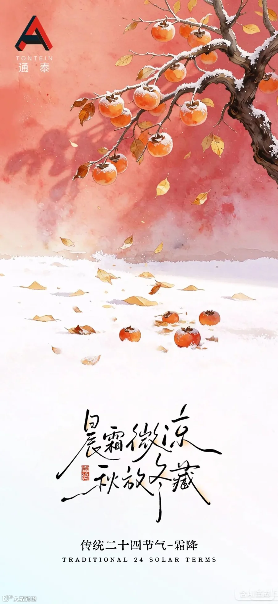 10.23霜降.jpg