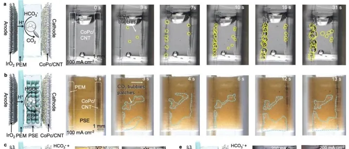 港理工刘树平、张晓&江苏大学许晖最新Nature子刊，多孔固态电解质给质子“降温”，为CO₂“开路”，重塑捕集碳电还原！！！