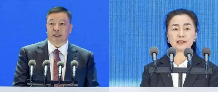 屡次成功抄底，江苏首富夫妇买对了什么