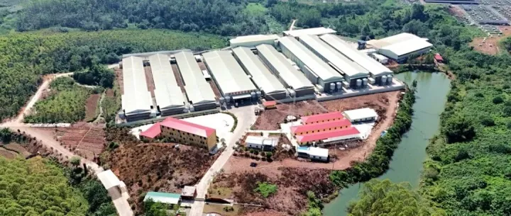 鸡蛋产业链一周资讯：柳州福塘村蛋鸡基地存栏50万羽，年产8640万元；贵港港南区润民蛋鸡存栏80万羽，日产40吨