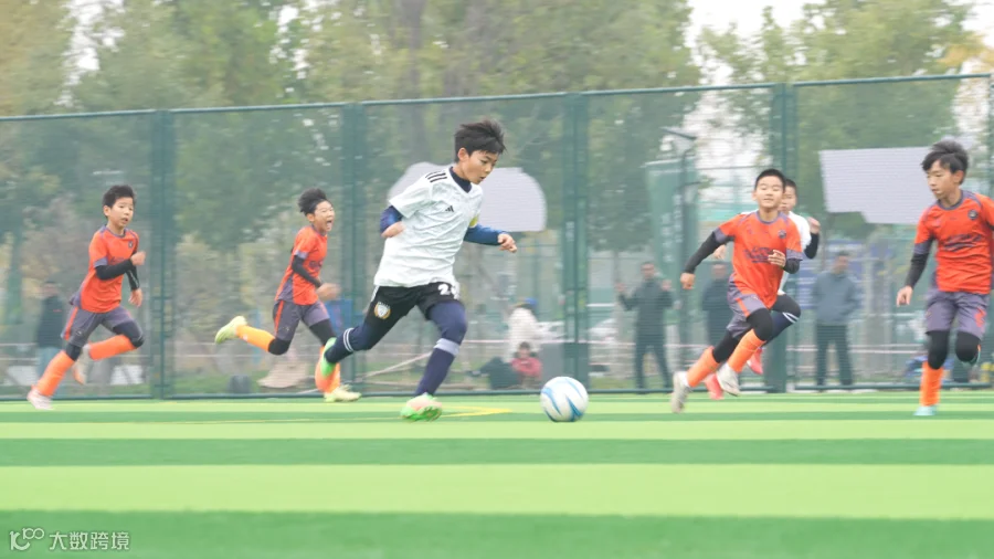 微信图片_20261025171318_340_2.png