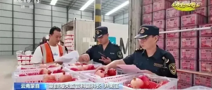 【央视新闻】石榴迎销售旺季 海关助力鲜果出海