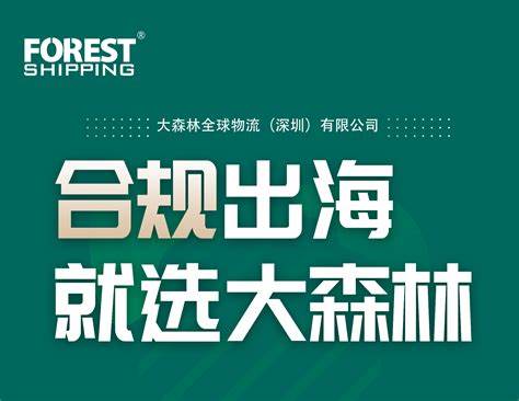 合规出海，就选大森林