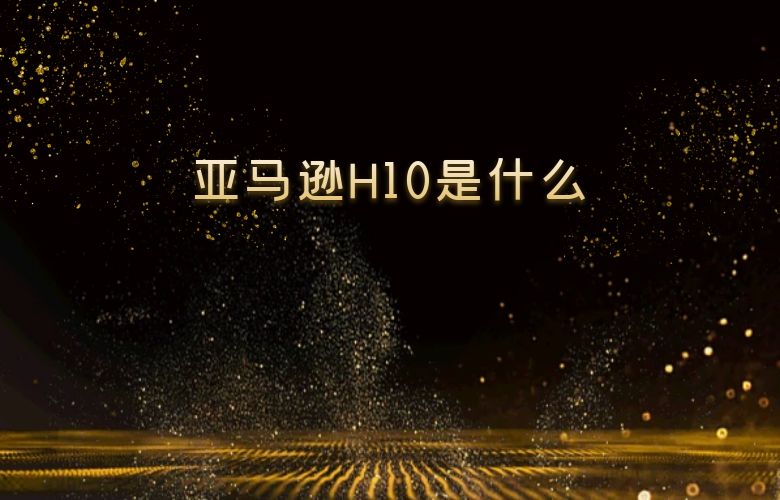 亚马逊H10是什么