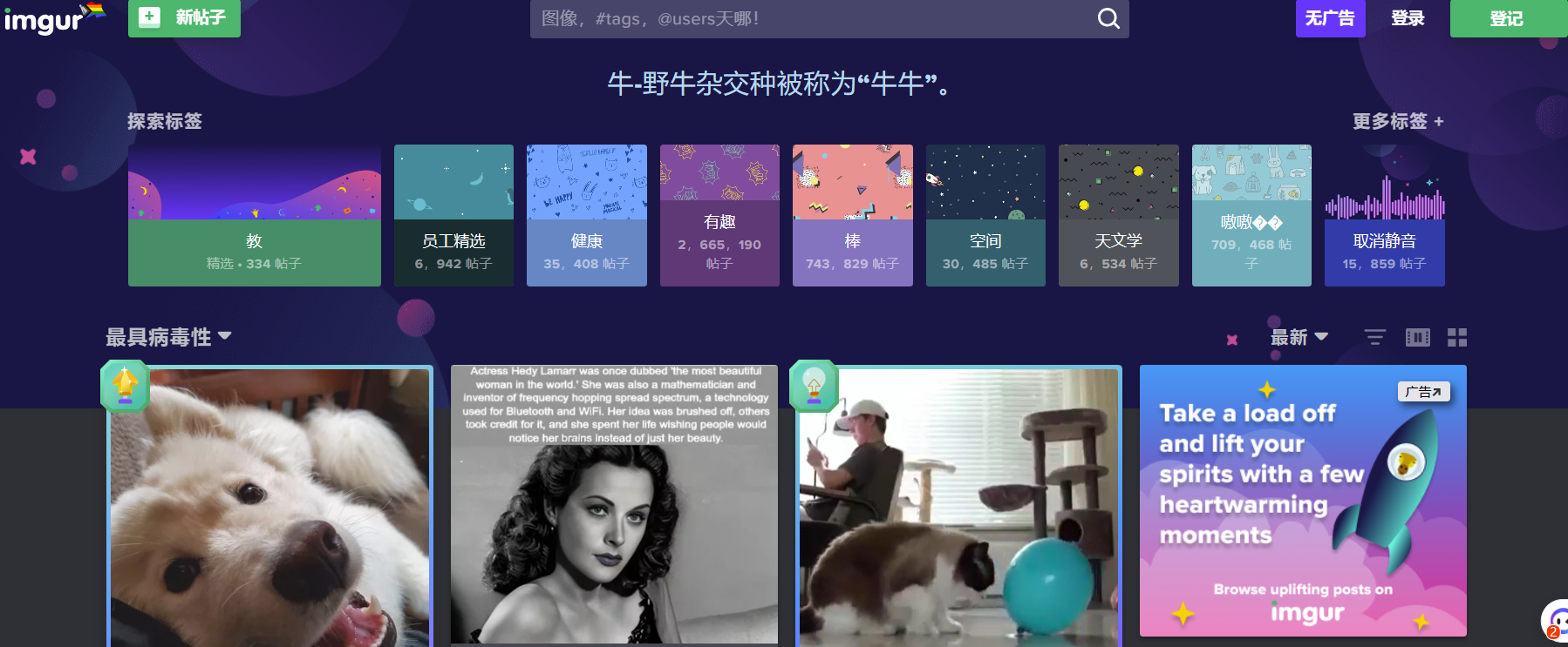 强烈推荐哪些免费使用的亚马逊图片转链接工具