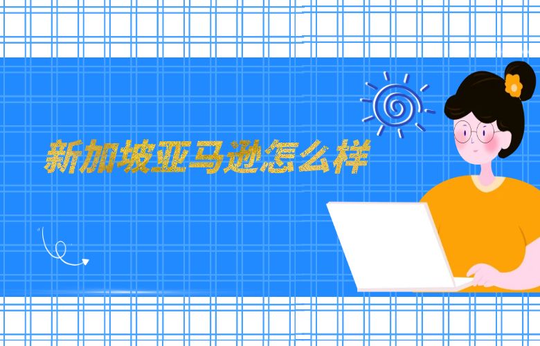 新加坡亚马逊怎么样