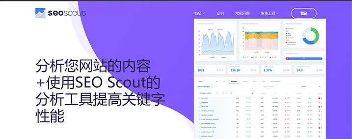 SEOWorkers Analysis Tool