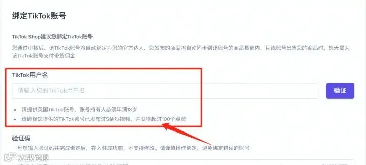 TIKTOK全球小店申请入驻条件？