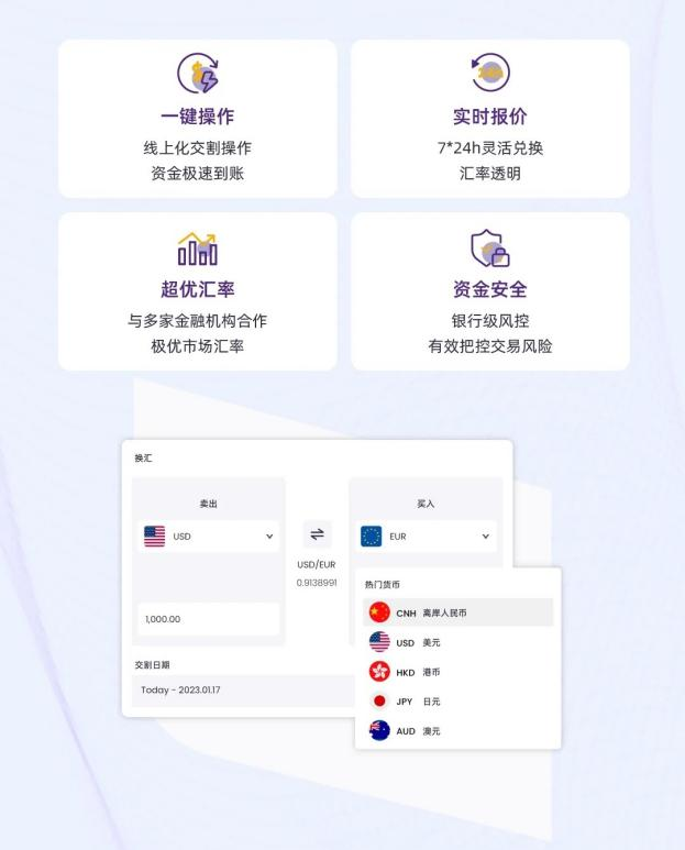 汇兑管理——专业灵活的汇兑方案，系统性管理汇率风险