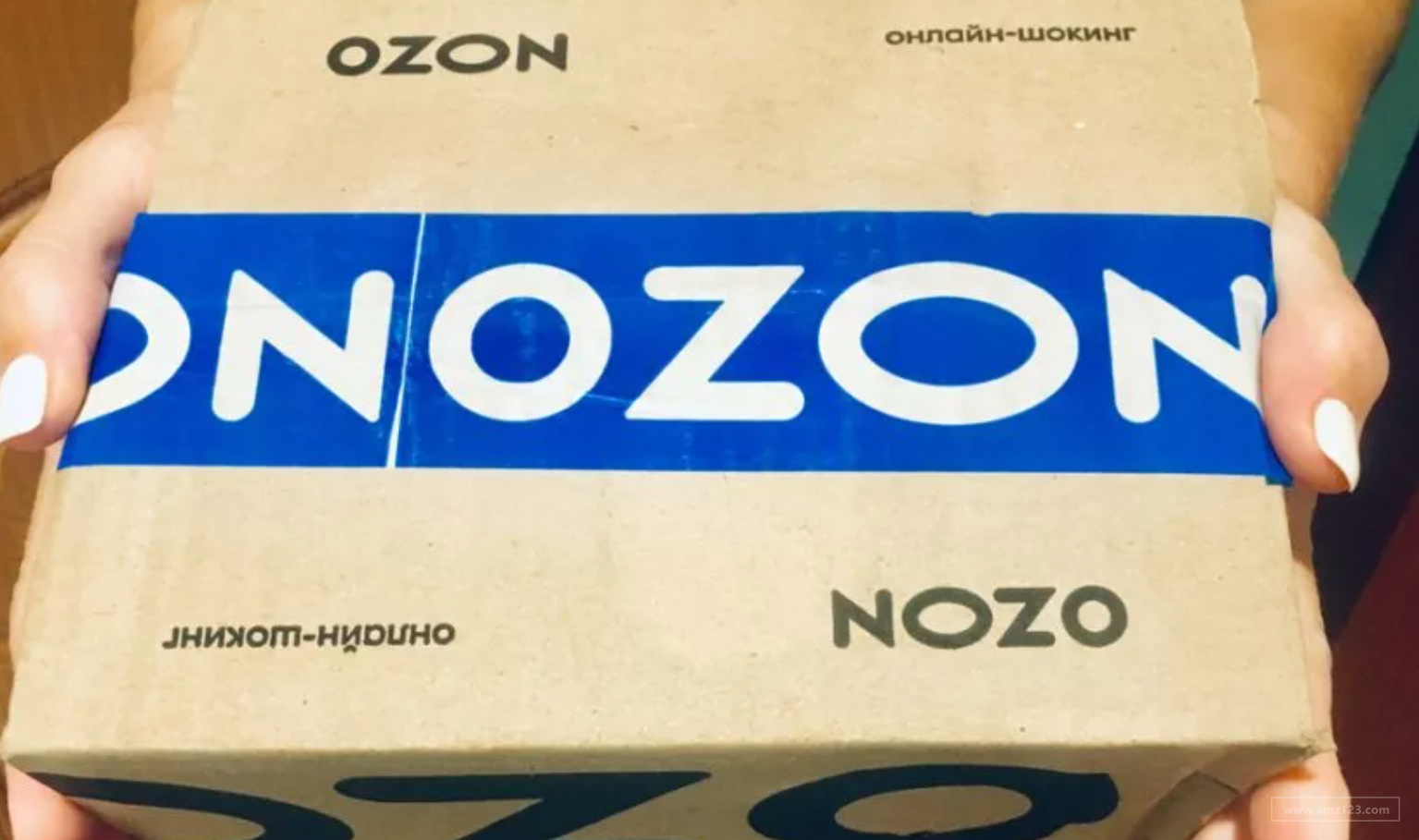 俄罗斯Ozon真的值得做吗?