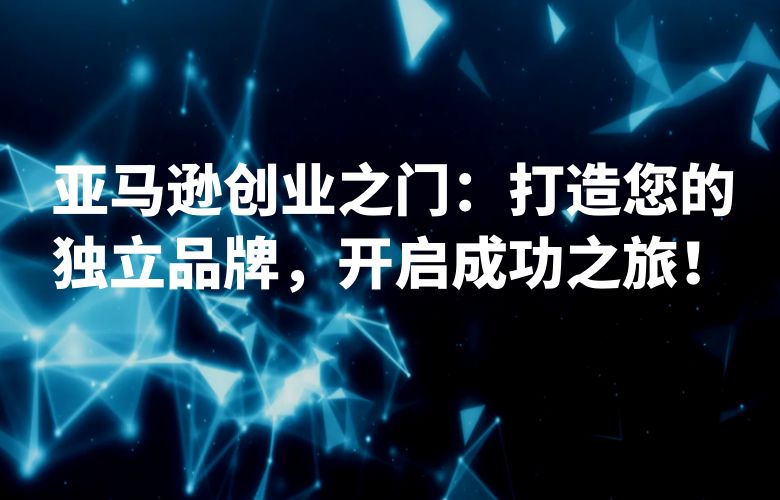 亚马逊创业之门：打造您的独立品牌，开启成功之旅！