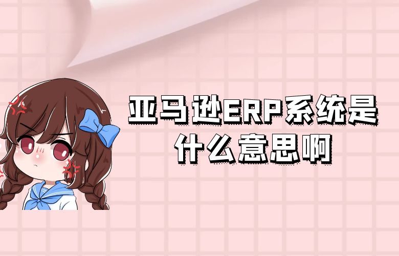 亚马逊ERP系统是什么意思啊
