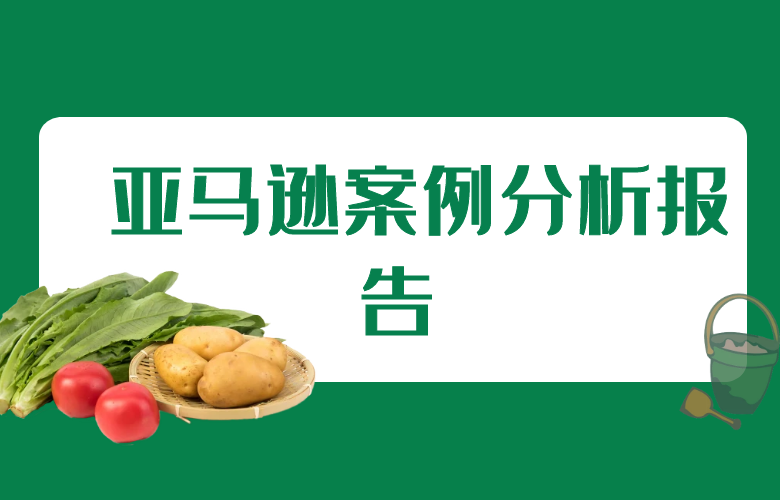品牌打造與亞馬遜平台銷售策略的成功案例分享