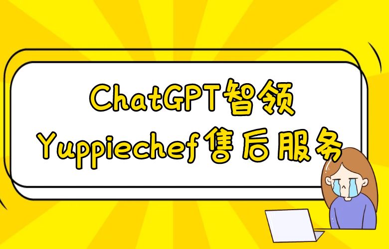 超越期望,呵护每一次购物体验:ChatGPT智领Yuppiechef售后服务