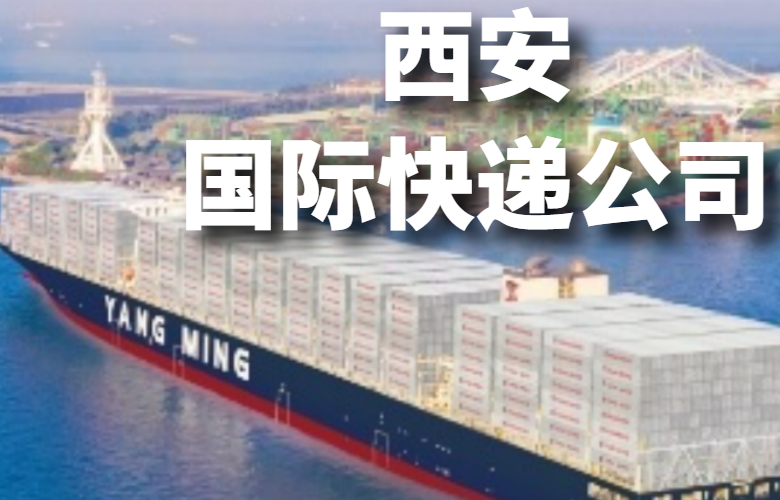 西安国际快递公司