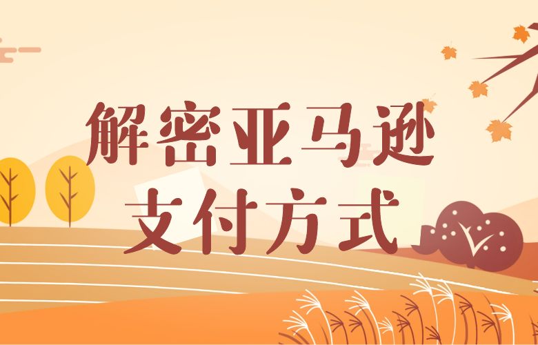 亚马逊支付方式：扩展全球边界的无缝桥梁